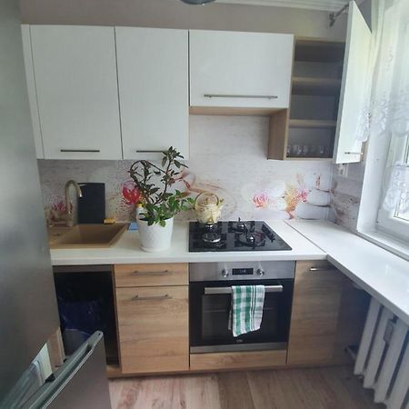 Stella4 Apartman Sanok Kültér fotó