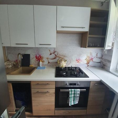 Stella4 Apartman Sanok Kültér fotó